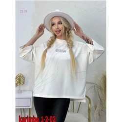Толстовка бронь 1904019-4