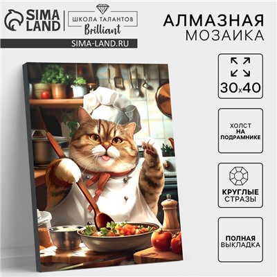 Алмазная мозаика с полным заполнением на холсте с подрамником «Толстенький повар», 30×40 см