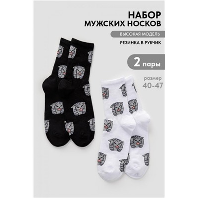 Носки мужские Драматик кот (набор 2 пары) (Белый, черный)