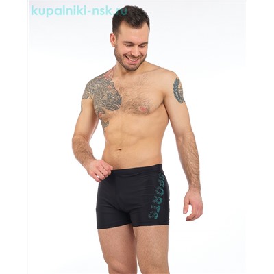 2819 Шорты купальные мужские (48-56)