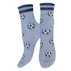 БРЕСТСКИЕ НОСКИ ДЕТСКИЕ 3081 SCHOOL (рисунок) БРЕСТСКИЕ, 1234325