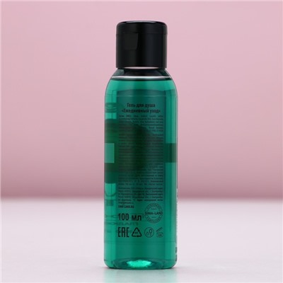 Гель для душа, 100 мл, аромат яблочного пирога, Чистое счастье