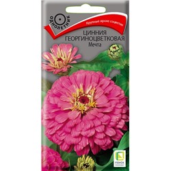 Цинния Мечта (Код: 67724)