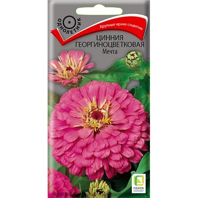 Цинния Мечта (Код: 67724)