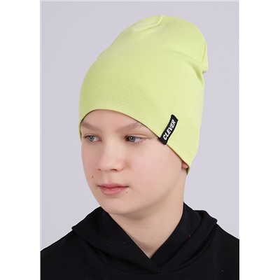 CLEVER Шапка