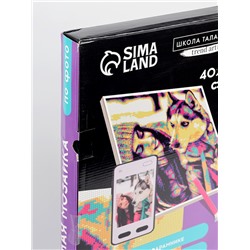 УЦЕНКА Алмазная мозаика по фото, на раме 40×50, полное заполнение, Pop Art