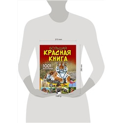 АСТ Спектор А.А. "Большая красная книга. 1001 фотография"