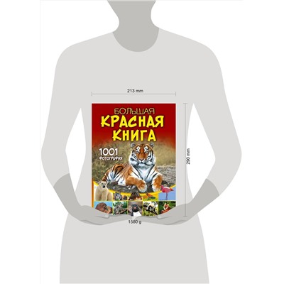 АСТ Спектор А.А. "Большая красная книга. 1001 фотография"