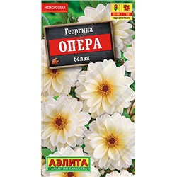 1426A Георгина Опера белая 7 шт