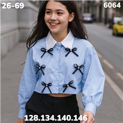 Блузка 6064 голубой