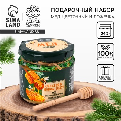 Мёд с маточным молочком «Счастья в Новом году», мёд 240 г, ложка