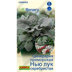 Цинерария Нью лук серебристая  (Код: 93608)