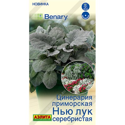 Цинерария Нью лук серебристая  (Код: 93608)