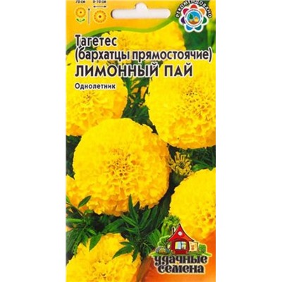 Бархатцы Лимонный Пай  УС (Код: 16379)