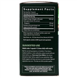 Gaia Herbs, Ginger Supreme, 60 Vegan Liquid Phyto-Caps