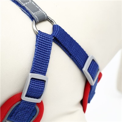 Комплект Sport+, S, поводок 150×1.5 см, ОШ 39-41 см, ОГ 44-48 см, вес животного 7-13 кг, синий 96