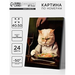 Картина по номерам на холсте с подрамником «Недовольный кот» 40×50 см