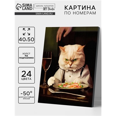 Картина по номерам на холсте с подрамником «Недовольный кот» 40×50 см