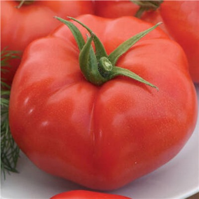 5175D Томат Кассиопея F1 5шт