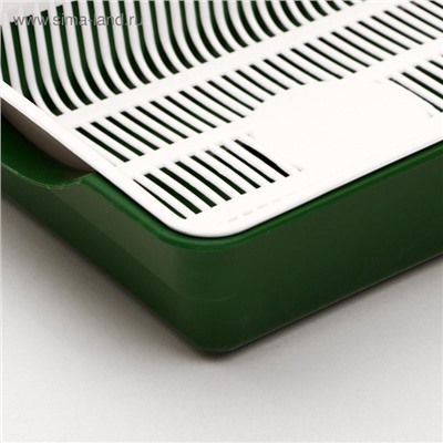 Туалет для кошек, 36×25×9 см, глубокий, с сеткой, пластик, цвет МИКС