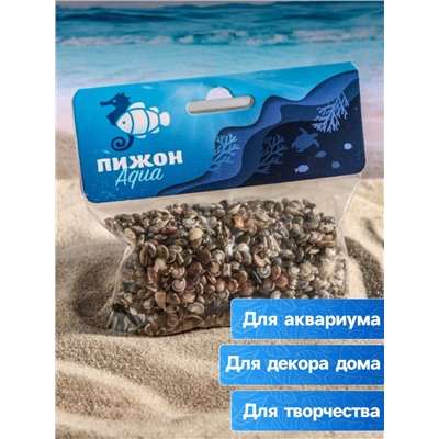 Набор ракушек Умбониум Вестериум, 100 г