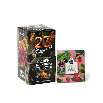 Чай подарочный «23 февраля», 20 пакетиков