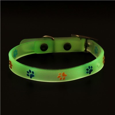 Ошейник «Яркие следы», 30×1 с, светящийся в темноте, люминесцентный, белый