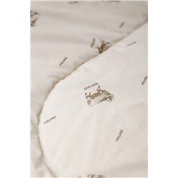 Одеяло норма Овца Raposa home ткань тик НАТАЛИ, 979229