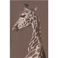 Trikozza Комплект Е 20142