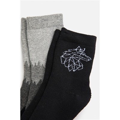 Носки, 2 п. ACOOLA, 1205075