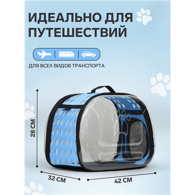 Переноска для животных, 42×32×28 см, прозрачная, голубая