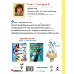 АСТ Григорьева Е.В. "Ферузе и компания"