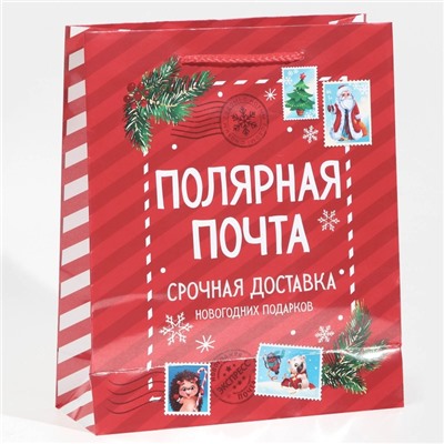 Пакет подарочный новогодний ламинированный «Полярная почта», ML 21×25×8 см