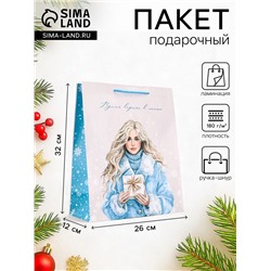 Пакет подарочный новогодний ламинированный, «Время верить в мечты», 26×12×32 см
