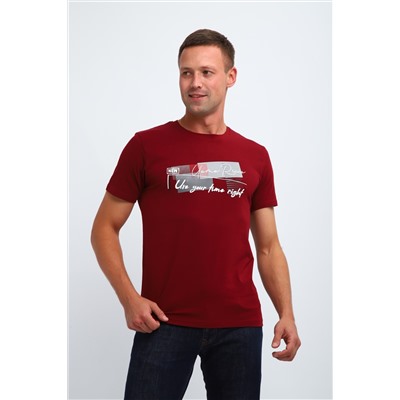 Футболка мужская 058