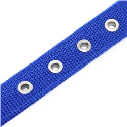 Ошейник «Комфорт» комбинированный (полиэстер, искусственная кожа), 55×2.5 см, ОШ 40-50 см, синий 6