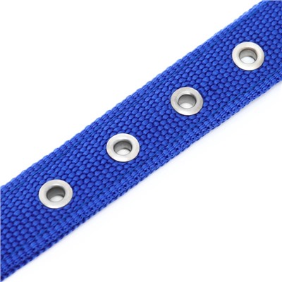 Ошейник «Комфорт» комбинированный (полиэстер, искусственная кожа), 55×2.5 см, ОШ 40-50 см, синий 6