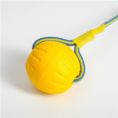 Мяч из EVA, 7 см, на верёвке, для дрессировки, жёлтый