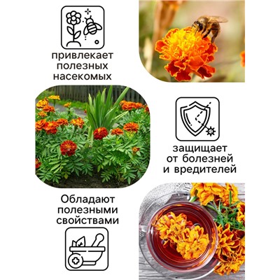 Семена цветов Бархатцы "Болеро", 0,2 г