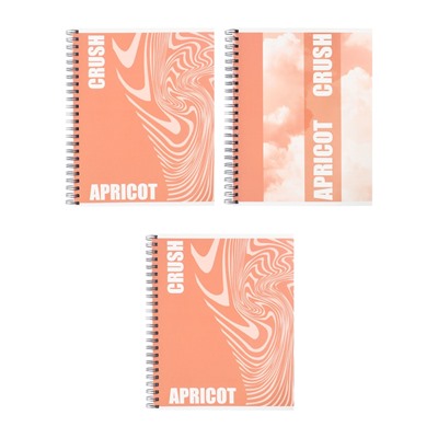 Тетрадь 96 листов в клетку, на гребне, Apricot, МИКС