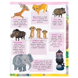 Книжка с наклейками формат А4. Приключения в жаркой саванне. 50 наклеек. Барсотти Э.