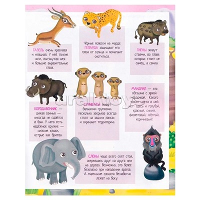 Книжка с наклейками формат А4. Приключения в жаркой саванне. 50 наклеек. Барсотти Э.