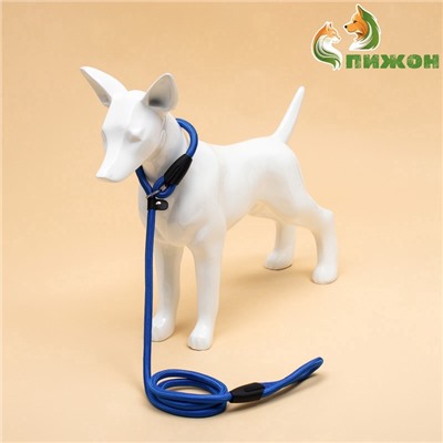 Ринговка для собак, 130×1 см, синяя