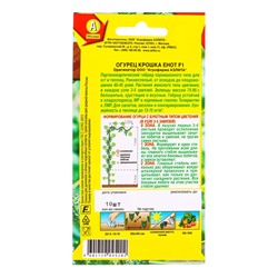 Семена Огурец «Крошка енот», партенокарпический, 10 шт., «Агрофирма АЭЛИТА»