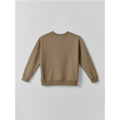 КОМПЛЕКТ ДЛЯ МАЛЬЧИКОВ (ДЖЕМПЕР, БРЮКИ) 393326