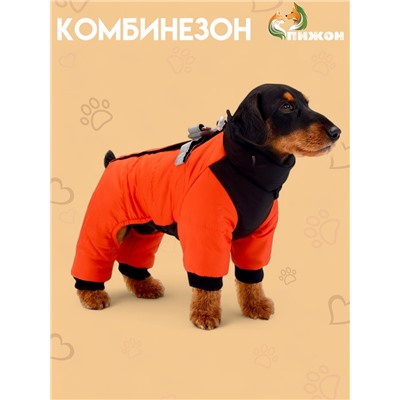 Комбинезон «Тренд», оксфорд, L (ДС 32, ОШ 33, ОГ 43 см, вес 9-11 кг), оранжевый