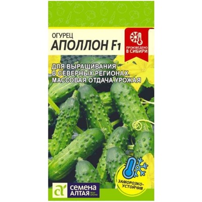 Огурец Аполлон F1 Сем.Алтая