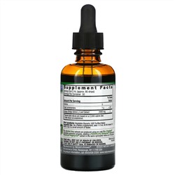 Nature's Answer, Гинкго, без спирта, 500 мг, 60 мл (2 жидк. унции)