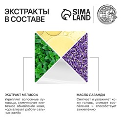 Шампунь для волос с маслом лаванды и экстрактом мелиссы, густые и сильные, 300 мл, ECO LAB by URAL LAB