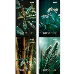 Блокнот А6 24л клетка "РАСТИТЕЛЬНАЯ ТЕМА - 1" ассорти Б24-2998 Проф-Пресс